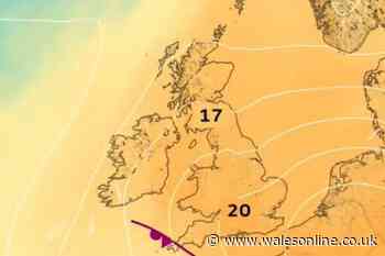 Met Office forecasts it will reach 20°C this week after bitterly cold weekend