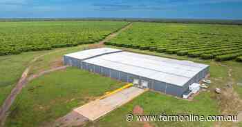 Cheeky mango business for sale in the NT for around $20m