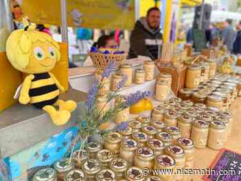 "Gare au faux miel à base de sirop chinois!", alertent les apiculteurs de Provence désabusés par une concurrence féroce