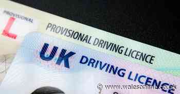 Martin Lewis £1,000 DVLA fine warning to millions of drivers over often missed licence rule