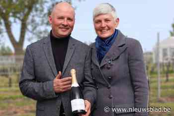 Nathalie (55) en Pieter (48) openen wijndomein aan Belgische kust: “Binnen twee jaar willen we schuimwijn kunnen schenken”