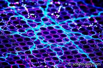 Beyond Graphene: A New World of 2D Materials Is Opening Up