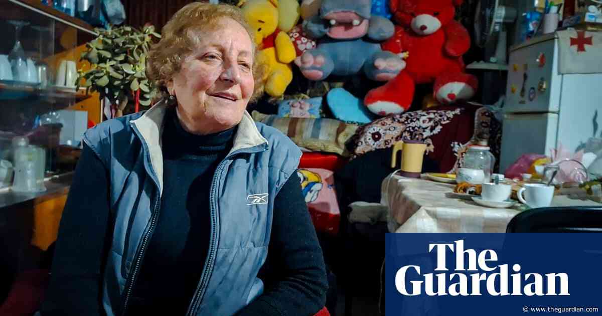 Cats, cuddly toys and a portrait of Stalin: the last lift lady guarding Tbilisi’s brutalist skybridge