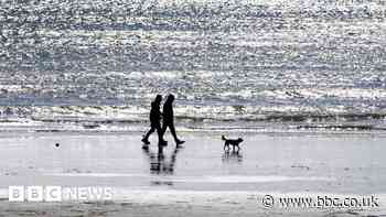Dog restrictions to be brought in on Westward Ho!