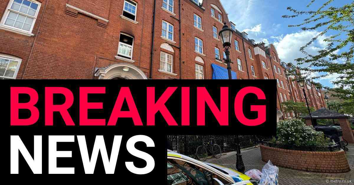 Woman dies after fire breaks out at block of flats in central London