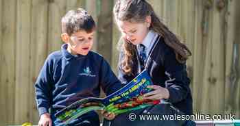 AD FEATURE: Find out how this Swansea school can help your child reach their full potential