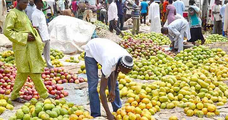 NGO proposes fruit waste to power homes, markets, urges government support