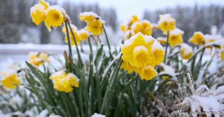 Sonne, Regenschauer und Schnee: Durchwachsenes Aprilwetter