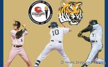 Three Ethel Tigers to play in MAC All-Star Baseball game