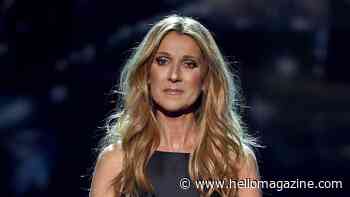 Céline Dion supported by fans as she mourns loss of 'dear friend' with heartbreaking tribute