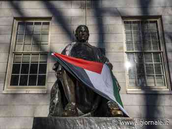 Bandiere palestinesi al posto di quelle americane, la folle protesta ad Harvard