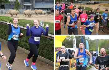 Colchester Zoo Stampede runners race through grounds