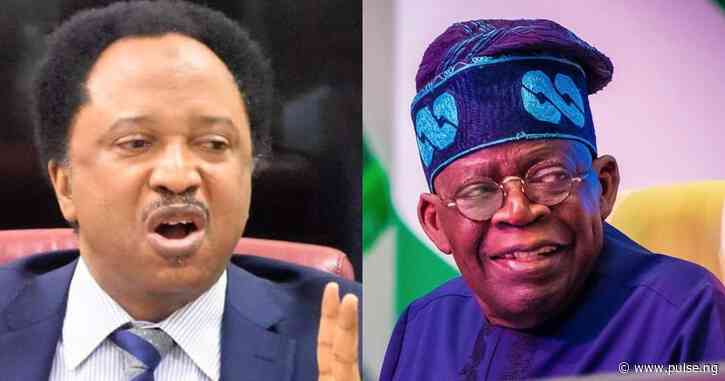 'Nigerians reaping from Buhari's error, give Tinubu time' - Shehu Sani