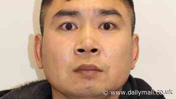 Gang member, 35, who kidnapped wealthy Chinese businessman from a golf course and kept him in a cage before demanding $15million in Bitcoin is jailed for 12 years