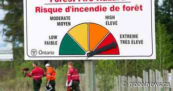 Cancer coverage a ‘long awaited victory’ for Ontario forest firefighters