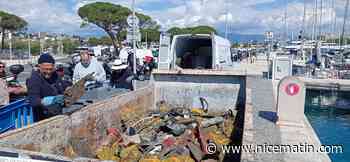 Les treizes plongeurs mobilisés ont sorti plus d'une tonne de déchets du port Vauban à Antibes