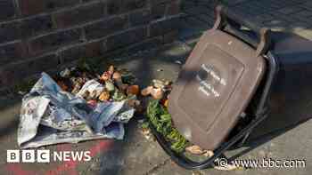 Horsham council approves £2m food bin launch
