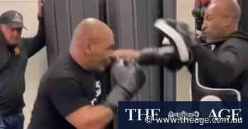 Scary Tyson training footage