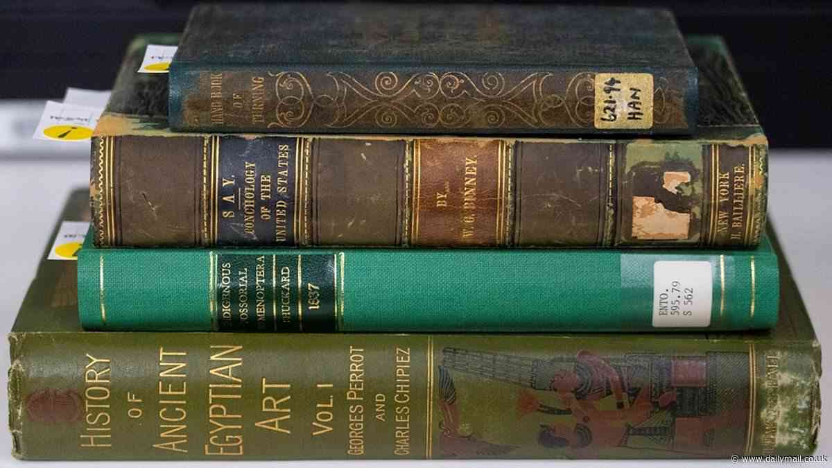 Toxic chemicals are found in more than 200 19th-century books  ... here is how YOU can spot a 'deadly' edition