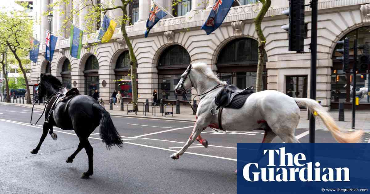 Military horses injured galloping across London making progress, army says