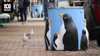 Penguin-themed bins to stay in town of Penguin, as community rejects 'horrible metal bins'