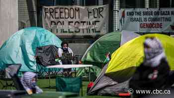 Pro-Palestinian encampment set up at UBC's Point Grey campus