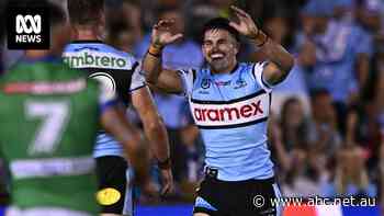 Chippy turned playmaker nailing down Sharks halves role
