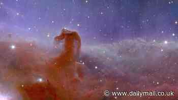 NASA's James Webb captures 'sharpest' images of the Horsehead Nebula that sits 1,300 light-years away from Earth