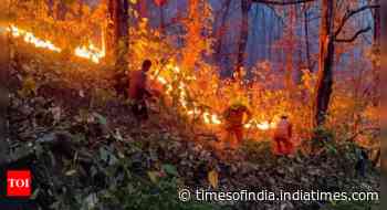 47 new fires raze 78 hectares forest land across state