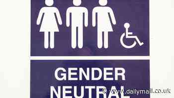 Gender-neutral lavatories are more dirty than men's and women's toilets, new study claims