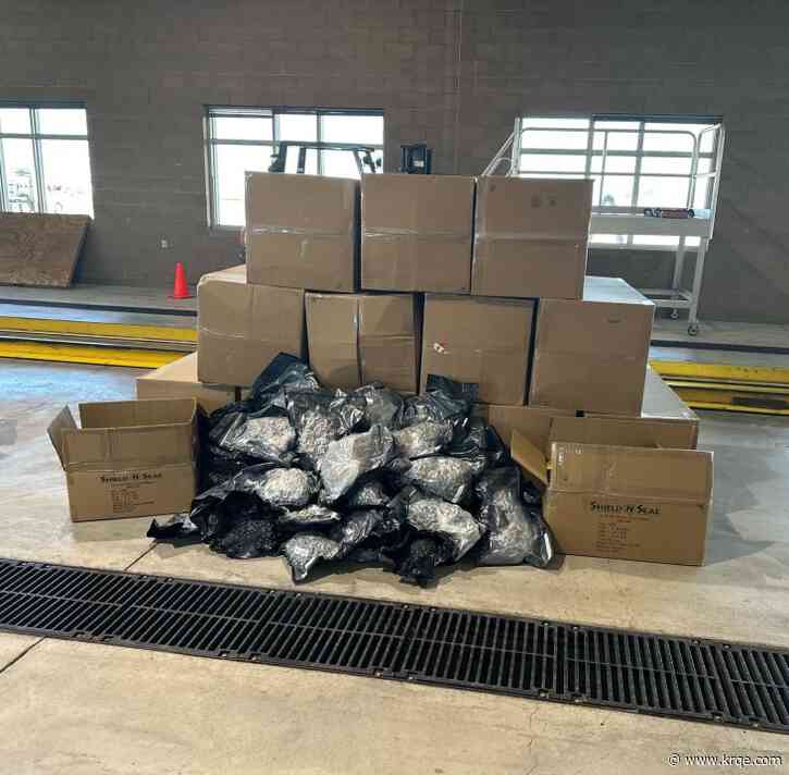Cargo check in southern New Mexico turns up with hundreds of pounds of drugs