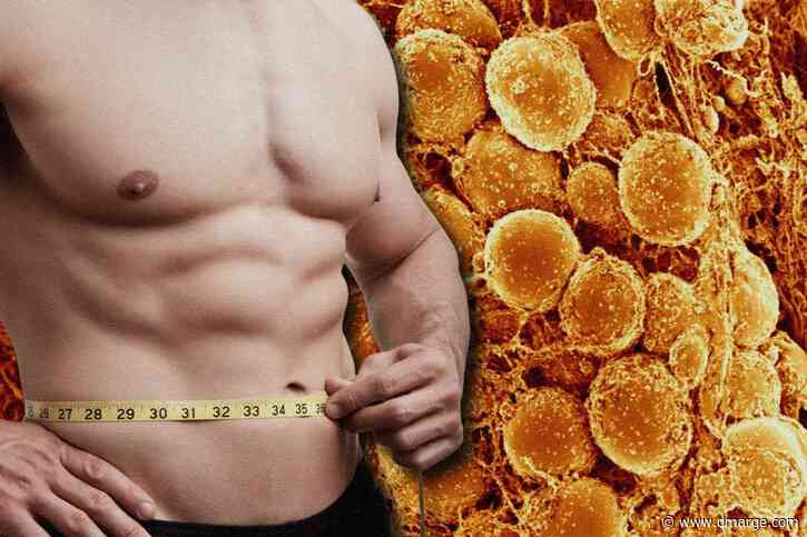 Scientists Identify ‘Brown Fat’ Activation As Ultimate Weight Loss Turbocharger
