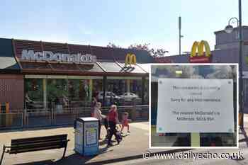 Southampton McDonald’s closes after cockroach infestation