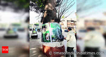 100-year-old rare tree that was saved hacked for Metro work in Mumbai