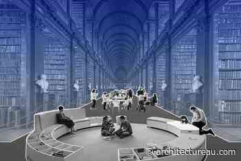Beautiful libraries: From monastic tradition to constructed fantasies