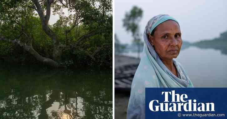 ‘Husband eaters’: the double loss of Bangladesh’s ostracised tiger widows
