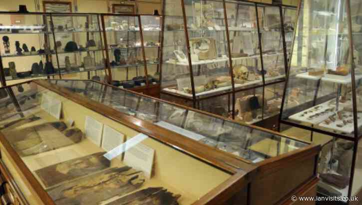 The Petrie Museum will close for the summer