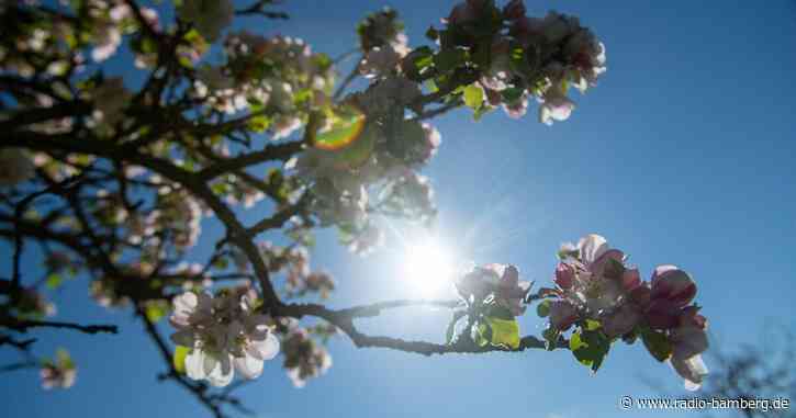 Sonniger Start in den Mai: Temperaturen bis 29 Grad Celsius