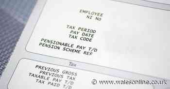 Millions of workers to see HMRC boost in pay slips today