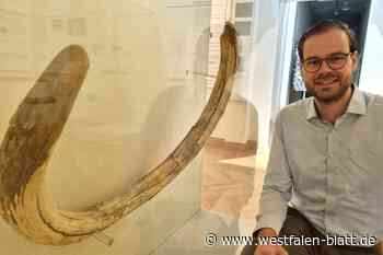 Vor 100 Jahren wurde ein Mammut-Stoßzahn in Warburg entdeckt
