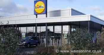 Lidl says it's planning to open 'hundreds' of new stores across UK, creating 'thousands' of jobs - list of sites