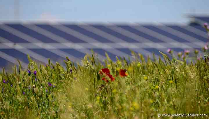 Planning permission granted for Somerset solar farm