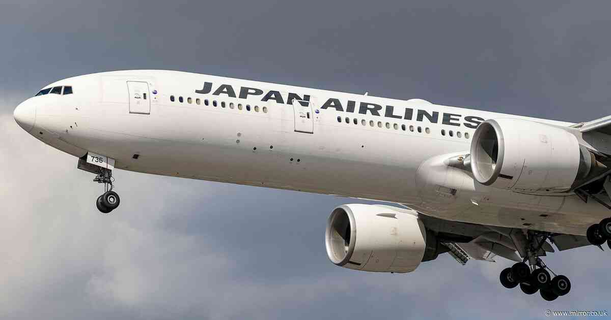 Japan Airlines pilot was 'too drunk to fly' after crew dinner became hotel party with cops called