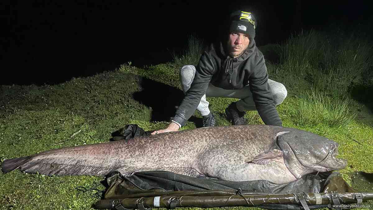 Amateur angler who had entire day without a bite lands the UK's biggest ever fish by rod in freshwater after changing his bait before he was about to leave