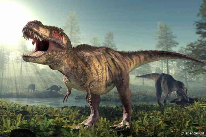 T. rex toch niet zo slim als een aap: “Het was gewoon een slimme krokodil, maar dat is net zo fascinerend”
