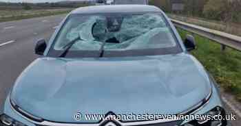 Driver escapes serious injury after ladder falls off van and smashes through windscreen on motorway