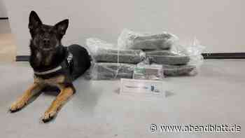 Zollhund Akira spürt im Zug Drogen im Wert von 58.000 Euro auf