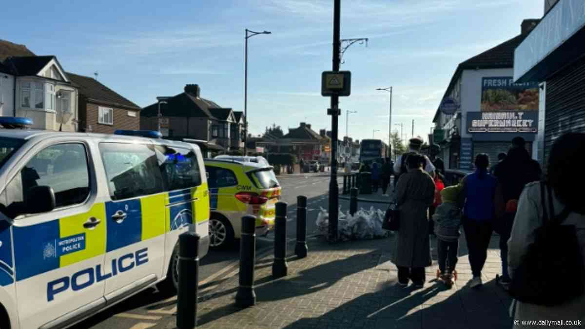 Hainault stabbings latest: Five people taken to hospital after police and public attacked near Tube station as man wielding sword is arrested
