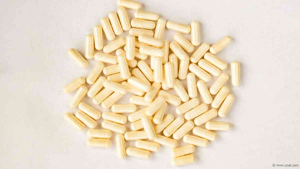 Best Probiotic Supplements for Gut Health     - CNET