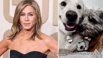 Jennifer Aniston's designer dog house for 3 precious pups at sprawling $21m home